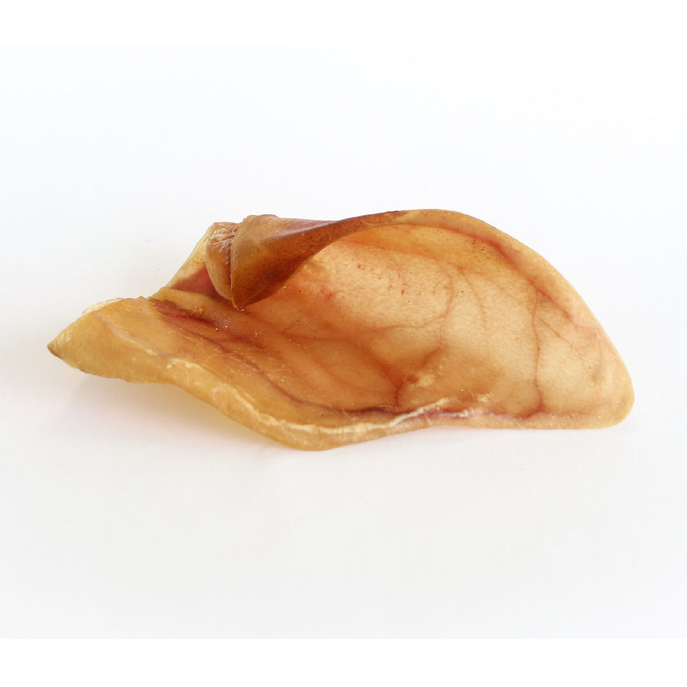 Petisco Natural Orelha Suína para Cães - 1 un.