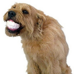 Brinquedo para Cachorro Bola Sorridente
