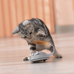 Brinquedo Para Gato