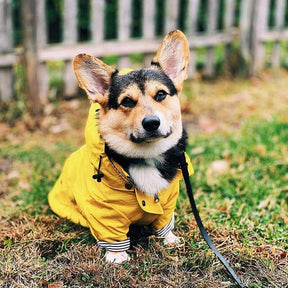 Capa De Chuva Para Cachorro