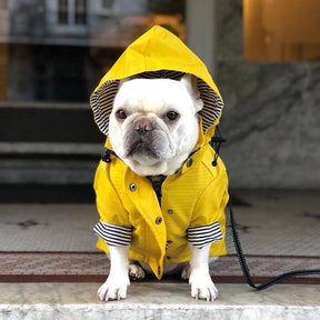 Capa De Chuva Para Cachorro