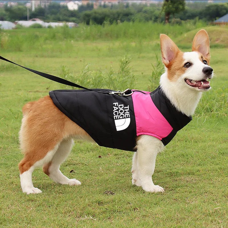 Jaqueta Impermeável Acolchoada para Cães